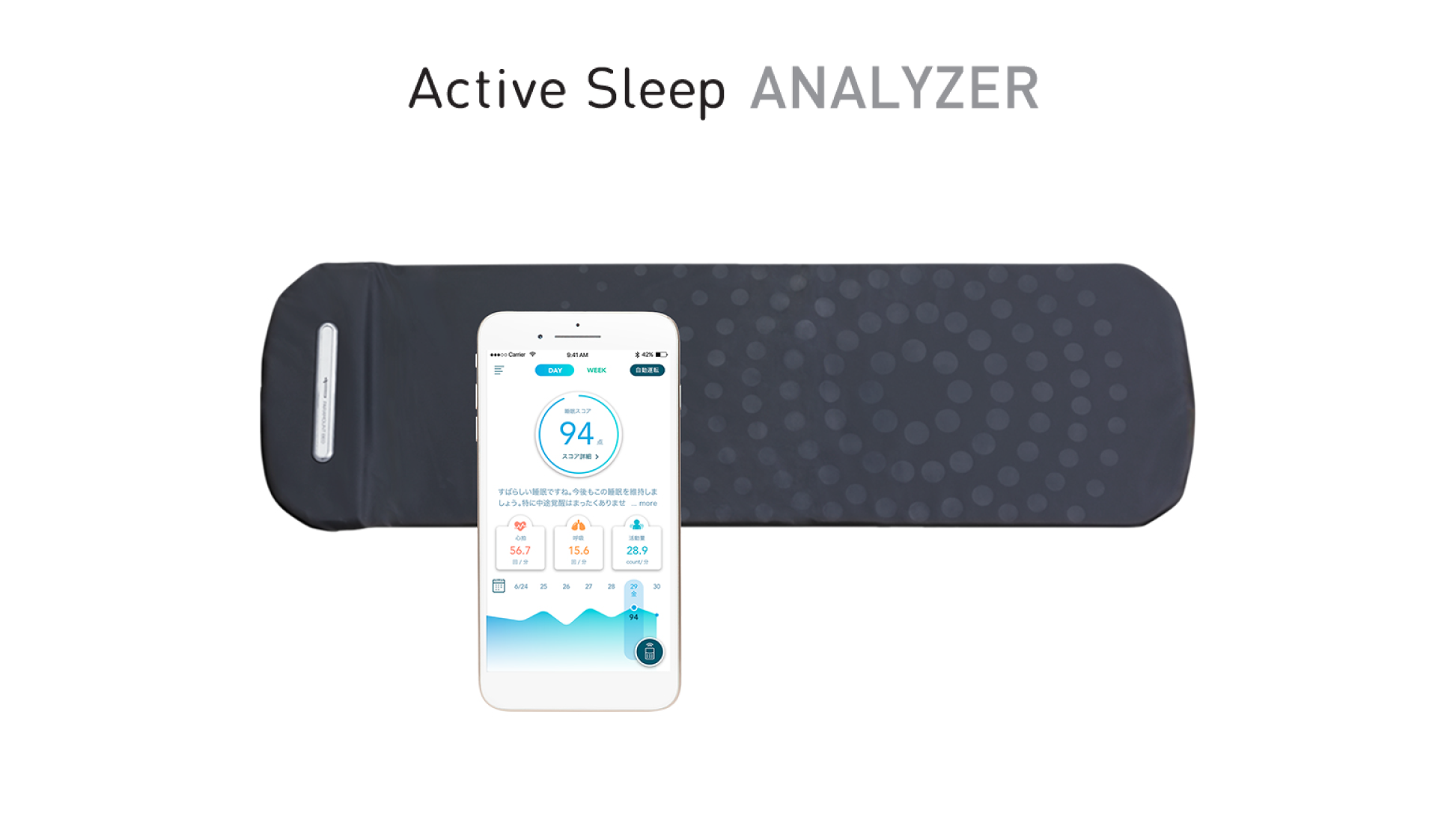 パラマウントベッド|INTIME 3000 (3モーター / ラウンドHB / Active Sleep ANALYZERセット) クラッシーダーク色 シングル