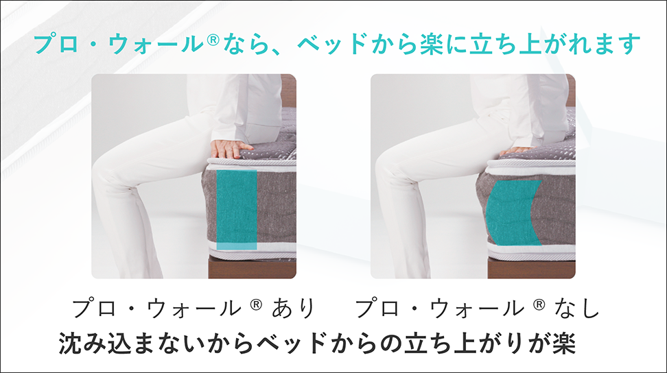 フランスベッド|LT-5500 PW MON ミディアムソフト ダブルロング(L205cm)