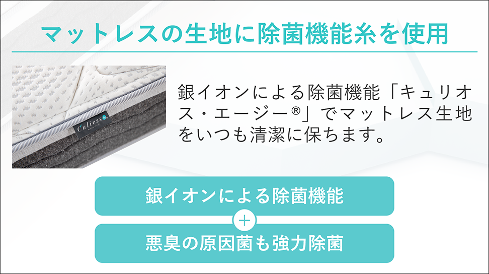 フランスベッド|LT-5000 ミディアムソフト セミシングル